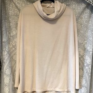 Loose turtleneck tunic top